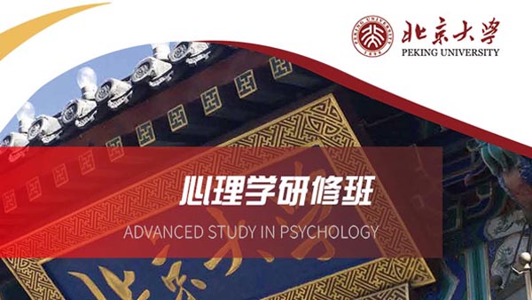 北京大学心理学研修班